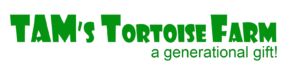 WEB LOGO